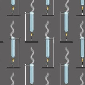 Test Tubes & Bunsen Burners on Gray, Small