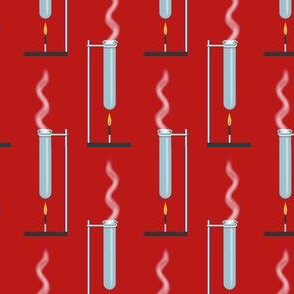 Test Tubes & Bunsen Burners on Red, Small