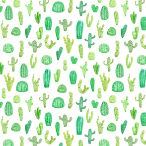 Cactus on White