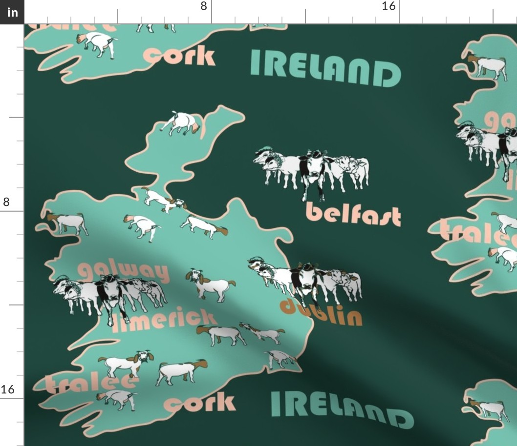 IRISH MAP