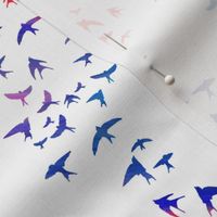 Swallows - blue and red