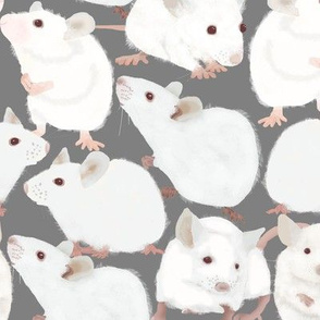 White Mice on Gray Background