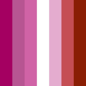 12 Inch Lesbian Pride Vertical Stripe Flag