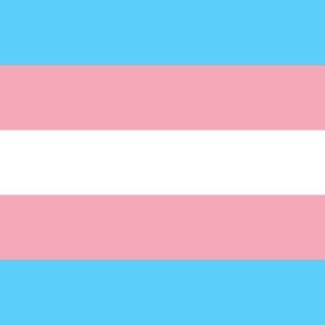 Jumbo Transgender Pride Horizontal Stripe Flag