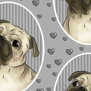 Love for pugs -grey big