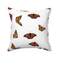 Classic Monarch Butterflies on White
