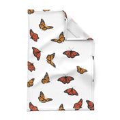 Classic Monarch Butterflies on White
