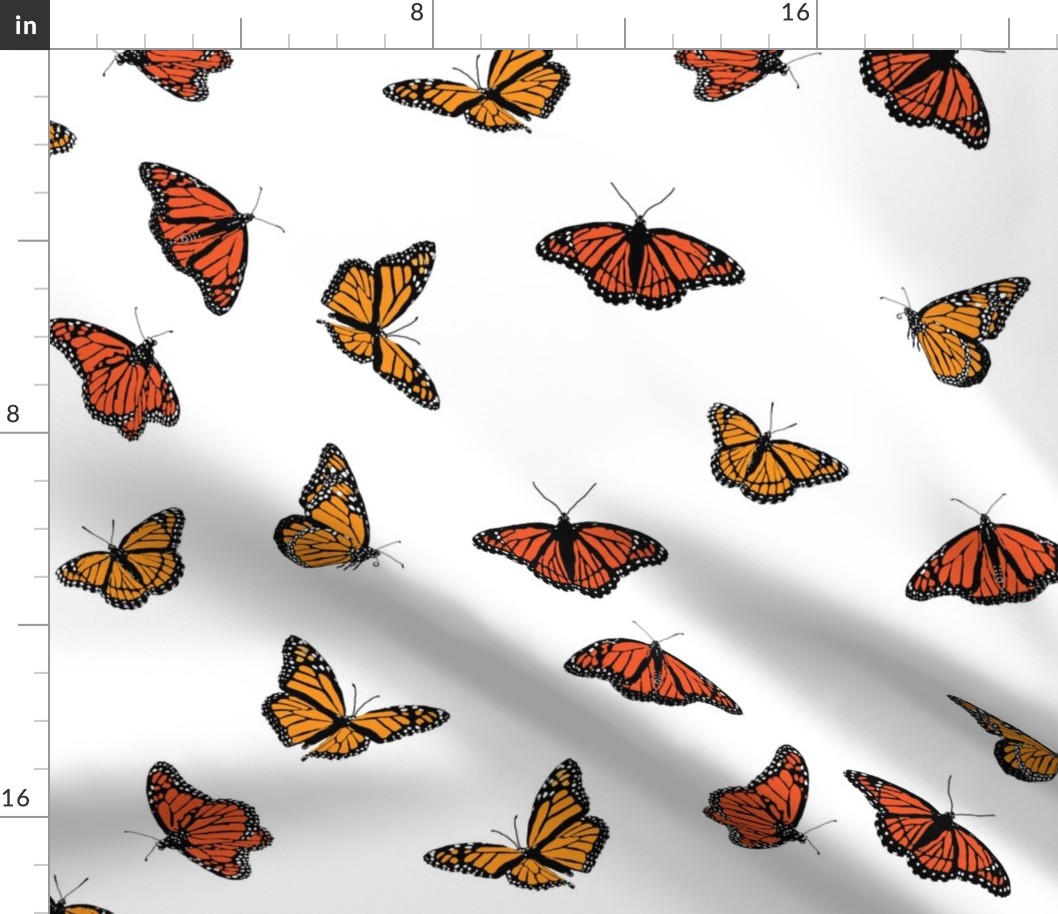 Classic Monarch Butterflies on White