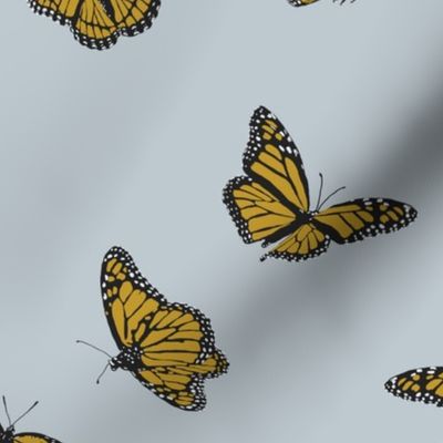 Golden Monarch Butterflies on Grey
