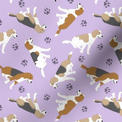 Tiny Beagles - purple