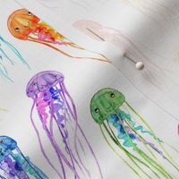 Bright Colorful Rainbow Jellies on White - small