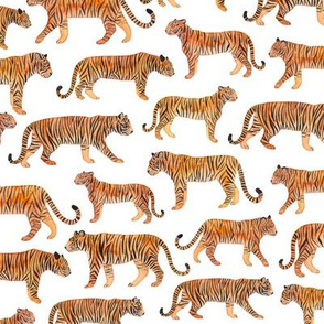 Watercolour Tigers