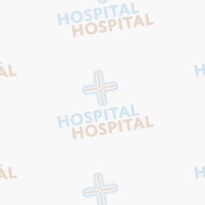 Hospital Sheets