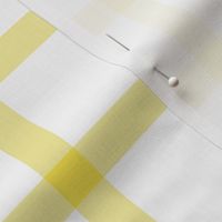 Yellow-Gingham 2.5x2.5