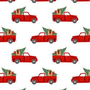 afghan hound christmas truck holiday fabric - dog christmas fabric, christmas dog, cute dog, afghan hound fabric - white