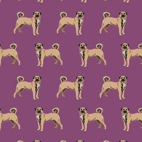 anatolian shepherd dog - anatolian dog, dog breed, dog breeds, dog fabric - purple