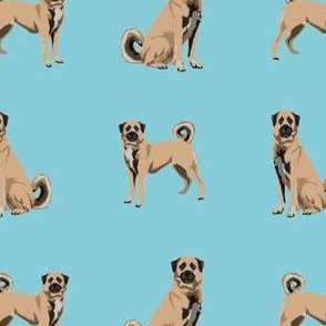 anatolian shepherd dog - anatolian dog, dog breed, dog breeds, dog fabric - light blue