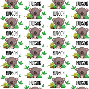 Hudson Koala