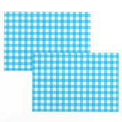 bright blue gingham check