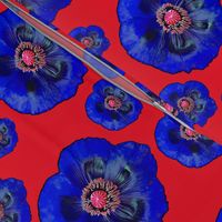 Flower Power - Red  / Dark Blue