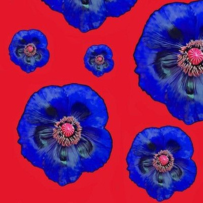 Flower Power - Red  / Dark Blue