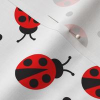 Ladybug (White)