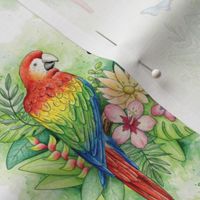 Scarlet Macaw - large scale