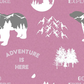 pink line bear adventure