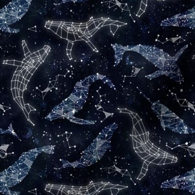 Whale constellations smaller