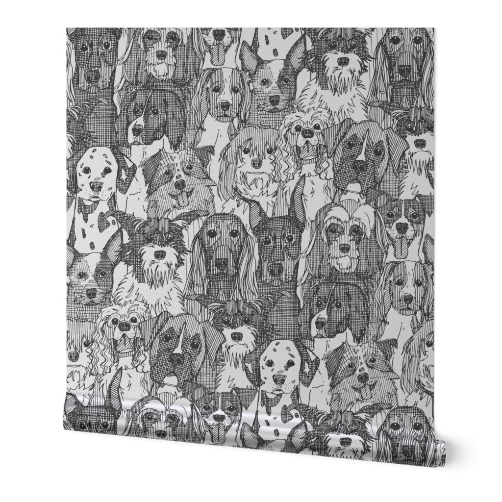 dogs aplenty black white