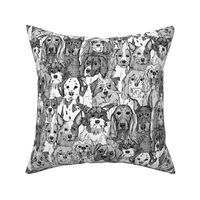 dogs aplenty black white small