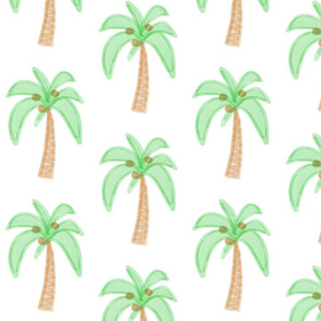 palm tree