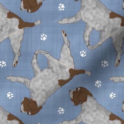 Trotting Wirehaired pointing Griffon and paw prints - faux denim