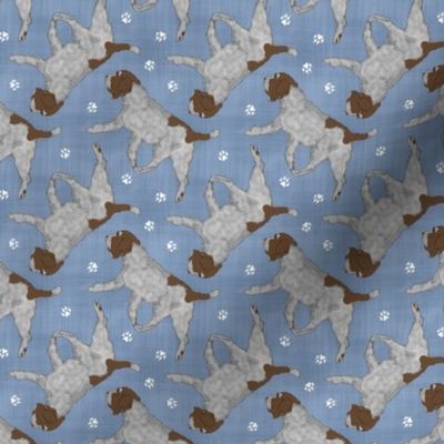Tiny Trotting Wirehaired pointing Griffon and paw prints - faux denim
