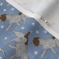 Tiny Trotting Wirehaired pointing Griffon and paw prints - faux denim