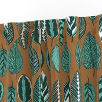 calathea leaves - brown