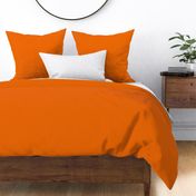 The cool kids_orange tangerine solid colours plain orange clementine tangerine plain solid