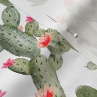 14" Pink Cactus Floral // White