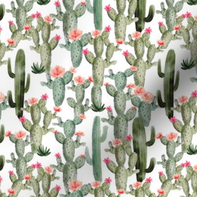 6" Pink Cactus Floral // White