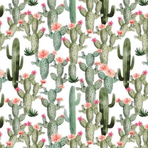 6" Pink Cactus Floral // White