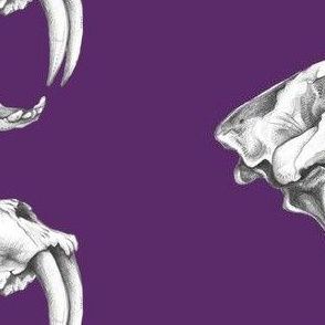 Saber Tooth Tiger Skull on Purple 3 - bigger size