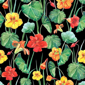 nasturtium_pattern