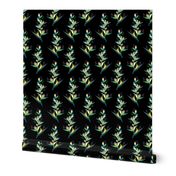 Heliconia Flower - Black and Green 