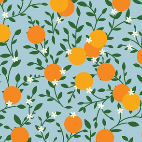 Valencia Oranges