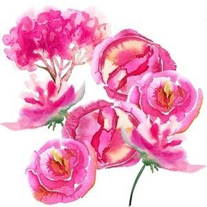 Hot Pink Watercolor Flowers