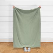 Solid Sage Green 6: Medium Sage Green Solids, Solid Fabric