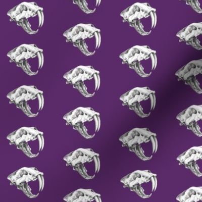 Saber Tooth Tiger Skull on Purple 3 - small size