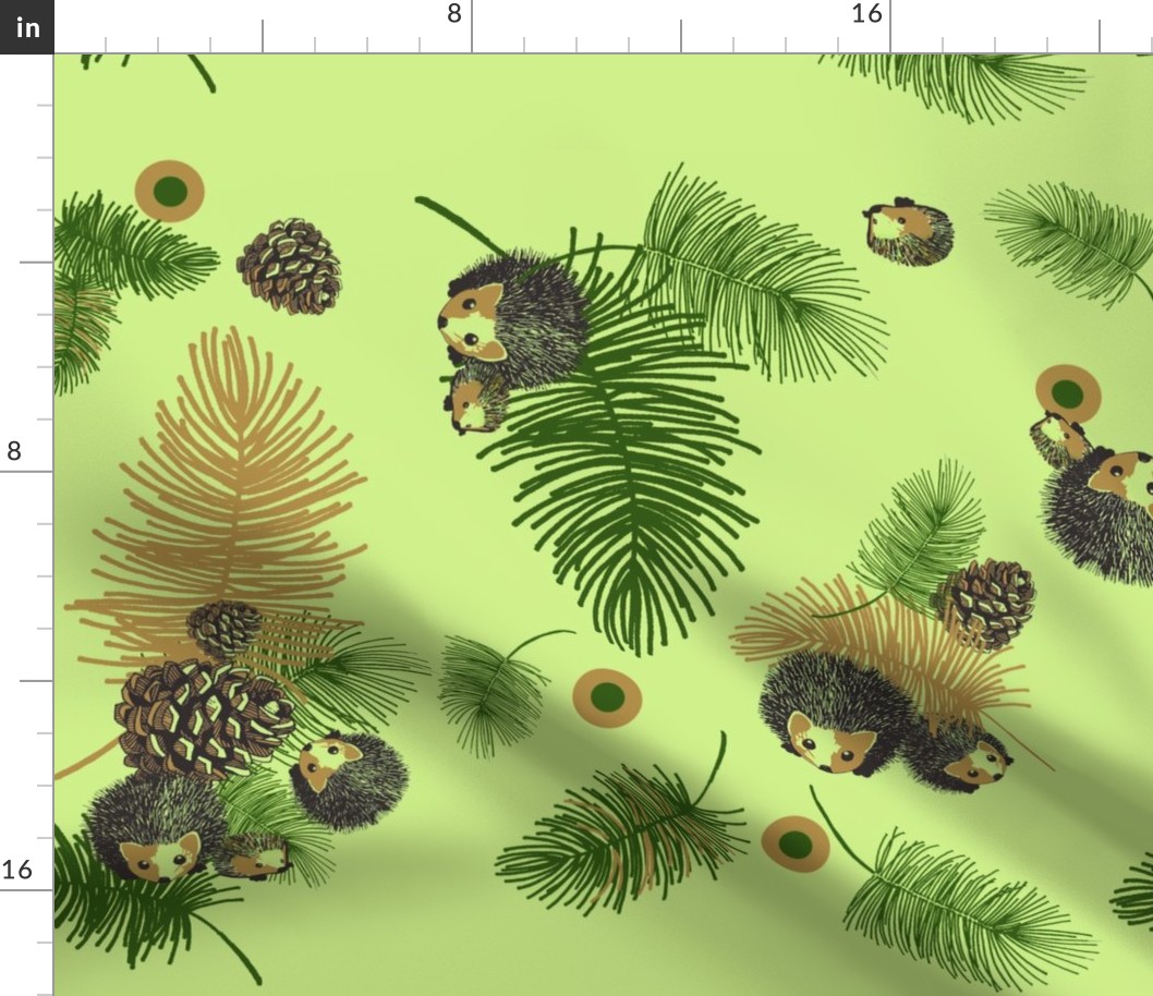 Pinecones_and_Hedgehogs