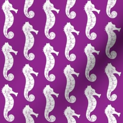 seahorses on purple
