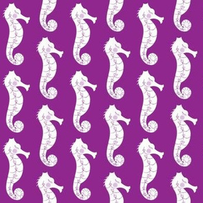 seahorses on purple